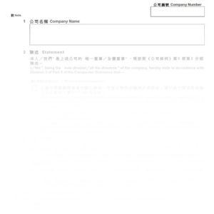 2016年香港表格NSC17 - 償付能力陳述書